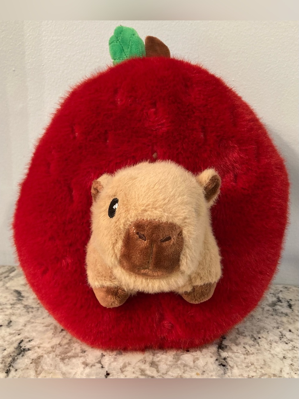 Strawberry and Detachable Capybara Plush